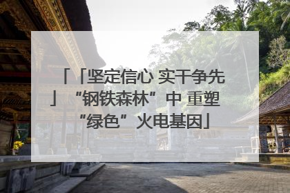「坚定信心 实干争先」“钢铁森林”中 重塑“绿色”火电基因