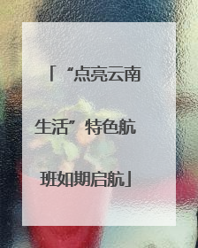 “点亮云南生活”特色航班如期启航
