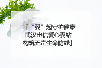 “翼”起守护健康 武汉电信爱心翼站构筑无毒生命防线