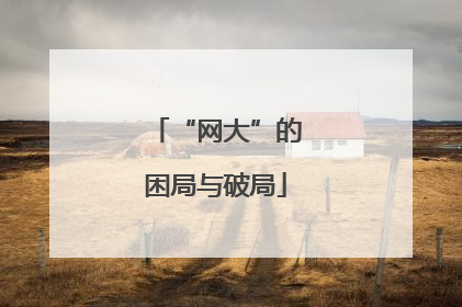 “网大”的困局与破局