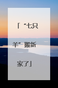 “七只羊”搬新家了