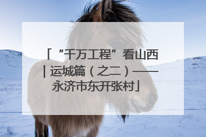 “千万工程”看山西｜运城篇（之二）——永济市东开张村