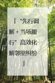 “先行调解＋当场履行”高效化解邻里纠纷