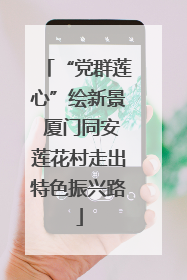 “党群莲心”绘新景 厦门同安莲花村走出特色振兴路