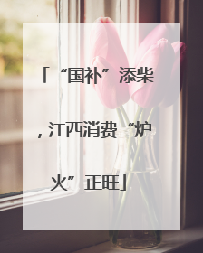 “国补”添柴，江西消费“炉火”正旺