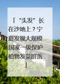 “头发”长在沙地上？宁夏发现大规模国家一级保护植物发菜群落