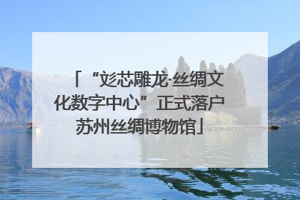 “彣芯雕龙·丝绸文化数字中心”正式落户苏州丝绸博物馆