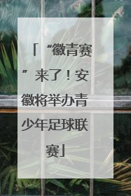 “徽青赛”来了！安徽将举办青少年足球联赛