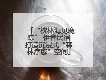“枕林海见鹿踪” 伊春民宿打造沉浸式“森林疗愈”空间