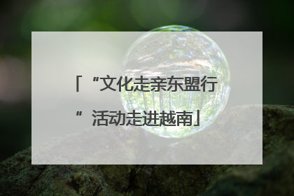 “文化走亲东盟行”活动走进越南