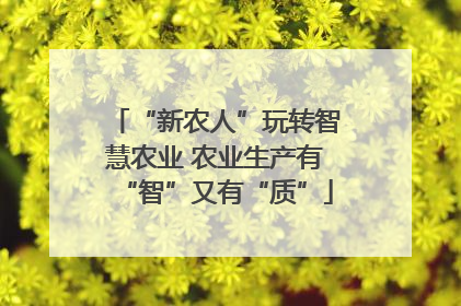 “新农人”玩转智慧农业 农业生产有“智”又有“质”