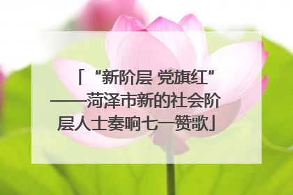 “新阶层 党旗红”——菏泽市新的社会阶层人士奏响七一赞歌