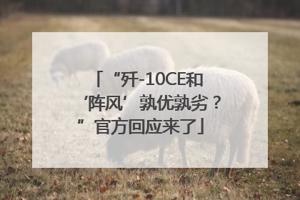 “歼-10CE和‘阵风’孰优孰劣？”官方回应来了