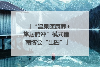 “温泉医康养+旅居腾冲”模式借南博会“出圈”