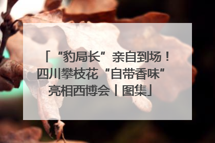 “豹局长”亲自到场！四川攀枝花“自带香味”亮相西博会丨图集