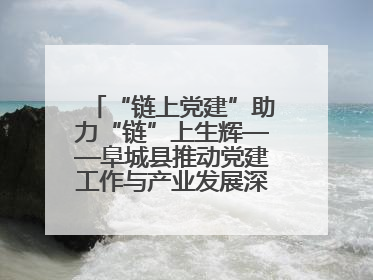 “链上党建”助力“链”上生辉——阜城县推动党建工作与产业发展深度融合