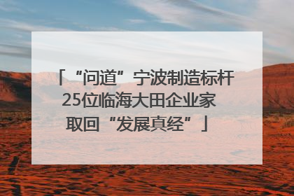 “问道”宁波制造标杆 25位临海大田企业家取回“发展真经”