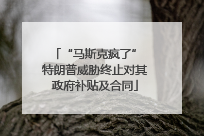 “马斯克疯了” 特朗普威胁终止对其政府补贴及合同