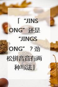 “JINSONG”还是“JINGSONG”？劲松拼音竟有两种写法
