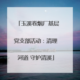 玉溪卷烟厂基层党支部活动：清理河道 守护清溪