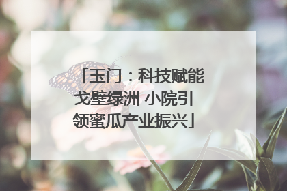 玉门：科技赋能戈壁绿洲 小院引领蜜瓜产业振兴