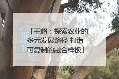 王超：探索农业的多元发展路径 打造可复制的融合样板