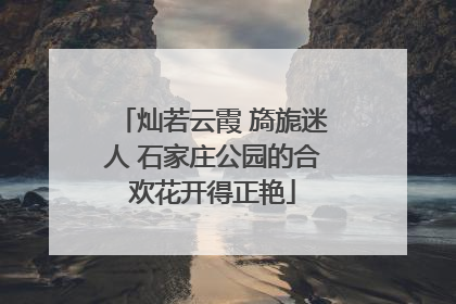 灿若云霞 旖旎迷人 石家庄公园的合欢花开得正艳