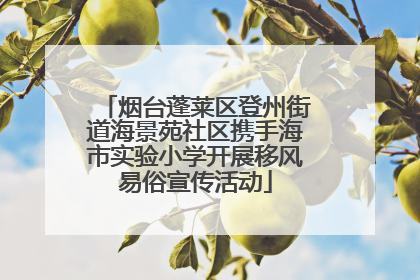 烟台蓬莱区登州街道海景苑社区携手海市实验小学开展移风易俗宣传活动