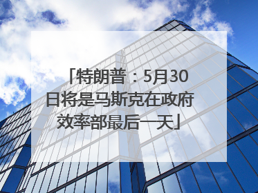 特朗普：5月30日将是马斯克在政府效率部最后一天