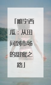 睢宁西瓜：从田间到市场的甜蜜之路