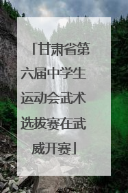 甘肃省第六届中学生运动会武术选拔赛在武威开赛