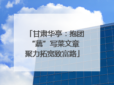 甘肃华亭：抱团“蔬”写菜文章 聚力拓宽致富路