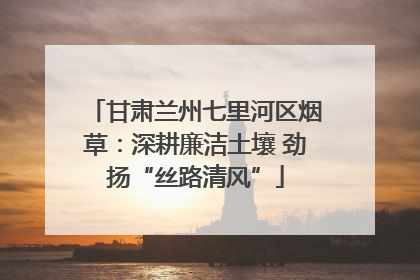 甘肃兰州七里河区烟草：深耕廉洁土壤 劲扬“丝路清风”