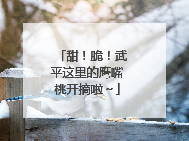 甜！脆！武平这里的鹰嘴桃开摘啦～