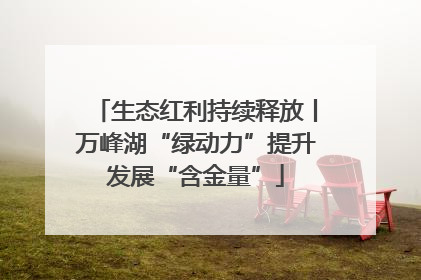 生态红利持续释放丨万峰湖“绿动力”提升发展“含金量”