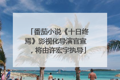 番茄小说《十日终焉》影视化导演官宣，将由许宏宇执导