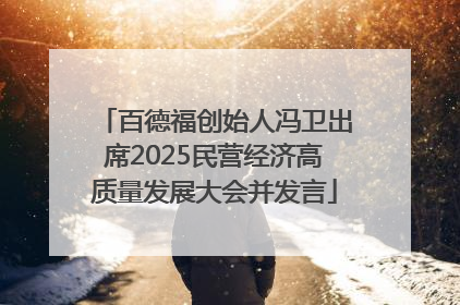 百德福创始人冯卫出席2025民营经济高质量发展大会并发言
