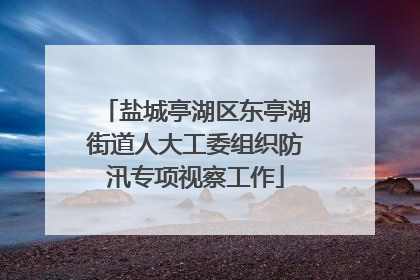 盐城亭湖区东亭湖街道人大工委组织防汛专项视察工作