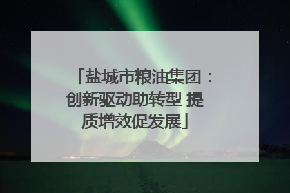 盐城市粮油集团：创新驱动助转型 提质增效促发展
