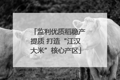 监利优质稻稳产提质 打造“江汉大米”核心产区