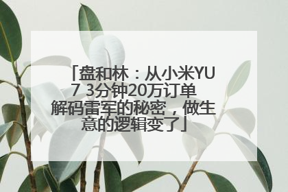 盘和林：从小米YU7 3分钟20万订单解码雷军的秘密，做生意的逻辑变了