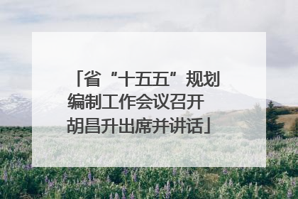 省“十五五”规划编制工作会议召开 胡昌升出席并讲话