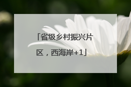 省级乡村振兴片区，西海岸+1