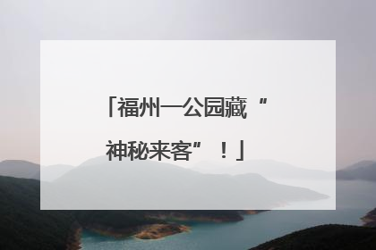 福州一公园藏“神秘来客”！