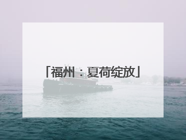 福州：夏荷绽放