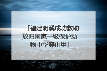 福建明溪成功救助放归国家一级保护动物中华穿山甲