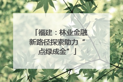 福建：林业金融新路径探索助力“点绿成金”
