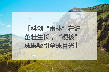 科创“雨林”在沪茁壮生长，“硬核”成果吸引全球目光
