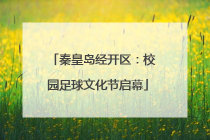 秦皇岛经开区：校园足球文化节启幕
