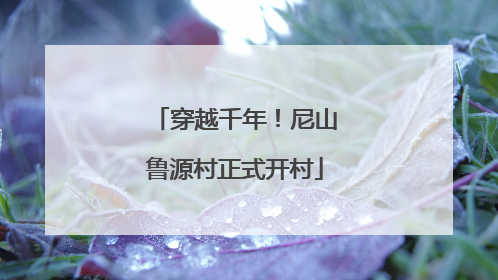 穿越千年！尼山鲁源村正式开村